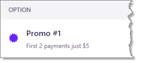 Payment_option__promotion_.png