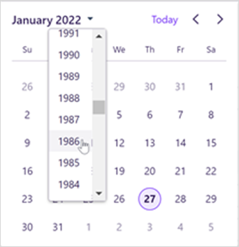 Calendar_view__year_select_.png